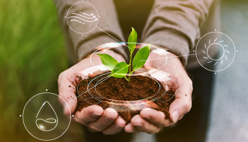 ต่อสังคมภายในองค์การและภายนอกองค์กร